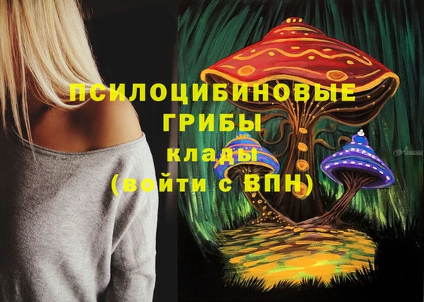 тгк Надым