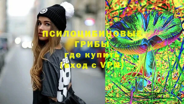 ешки Нягань