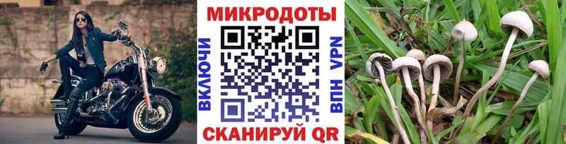 Псилоцибиновые грибы Psilocybine cubensis  где найти наркотики  площадка официальный сайт  Никольское 